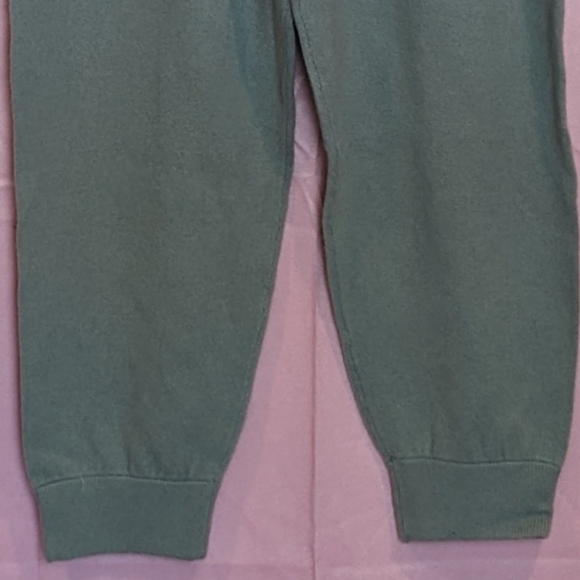 Antonio Melani Mint Green Cashmere Elizabeth Jogger Pants size XL - Picture 3 of 6